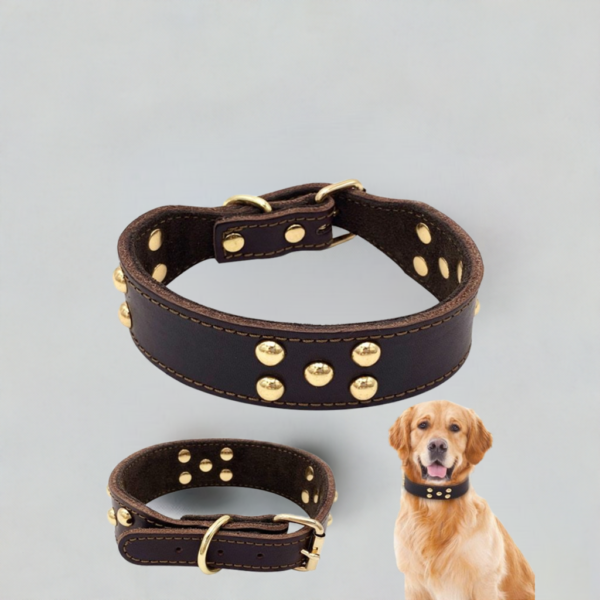 Durable Adjustable Dog Collar for Pets