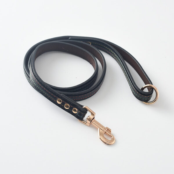 Durable Leather Dog Leash & Collar Set - Image 10